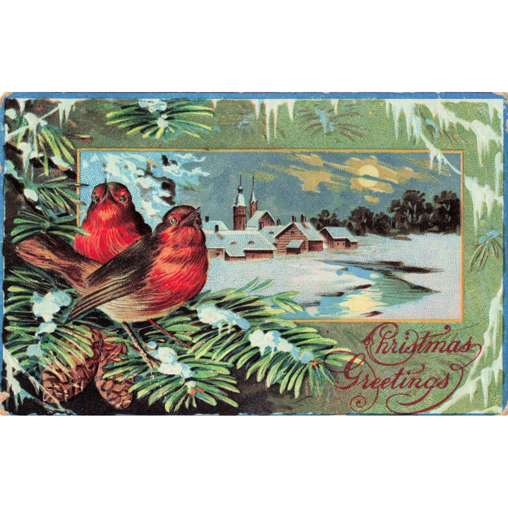 Christmas Postcard Red Birds Winter Snow Village Church Pine Cones Embossed Vtg